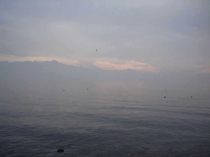 Lausanne, Looking Out Across the Lake in Winter
