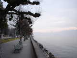 Lausanne, Looking Across The Pathway In WInter (45 kbytes) - Click to enlarge